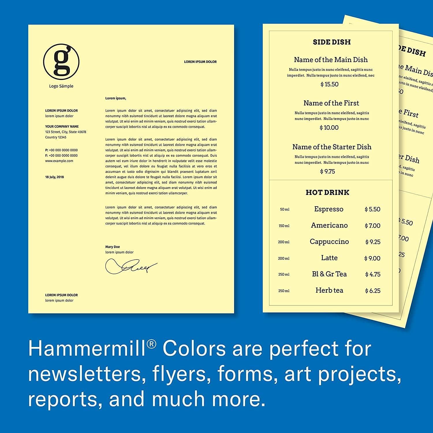 imageHammermill Colored Paper 20 lb Blue Printer Paper 85 x 111 Ream 500 Sheets  Made in the USA Pastel Paper 103309RAssorted Colors
