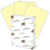 imageHammermill Colored Paper 20 lb Blue Printer Paper 85 x 111 Ream 500 Sheets  Made in the USA Pastel Paper 103309RCanary