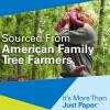 imageHammermill Copy Plus 20lb Paper 85 x11 40 Case Pallet 200000 Sheets Made in USA Sustainably Sourced From American Family Tree Farms 92 Bright Acid Free Economical Printer Paper 105007P10 ream  5000 Sheets