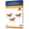 imageHammermill Printer Paper Fore Multipurpose 24 lb Copy Paper 85 x 11  10 Ream 5000 Sheets  96 Bright Made in the USA 103283C1 Ream  500 Sheets